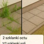 Jak zrobić superskuteczny domowy herbicyd👇👇