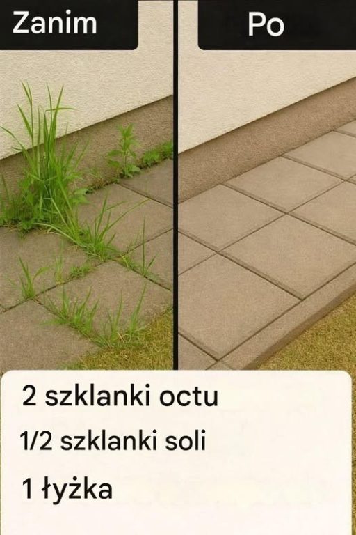 Jak zrobić superskuteczny domowy herbicyd👇👇