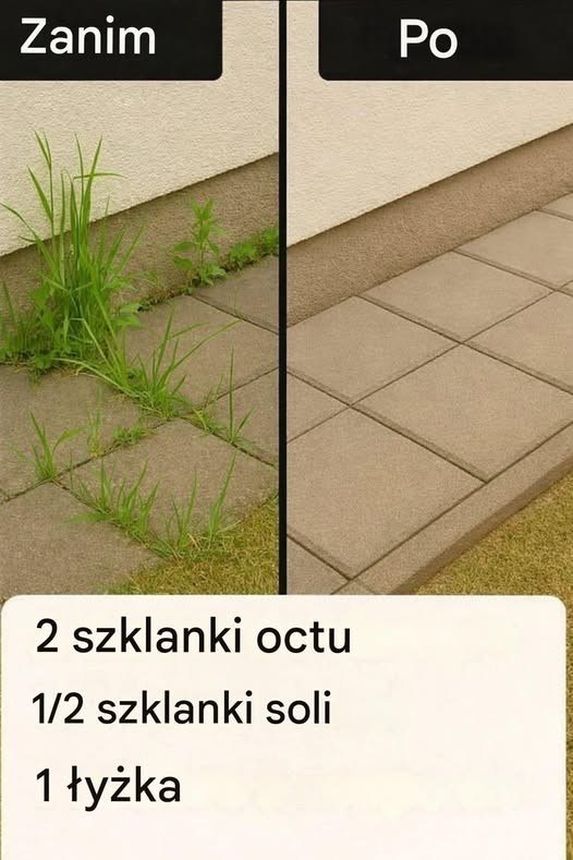 Jak zrobić superskuteczny domowy herbicyd👇👇