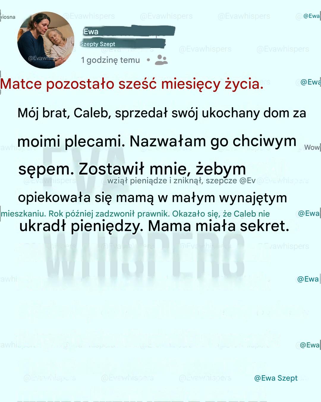 Nazwałem mojego brata chciwym sępem, bo sprzedał dom naszej umierającej matki, ale prawda mnie złamała.