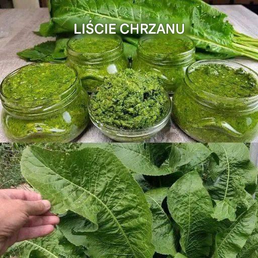 Liście chrzanu