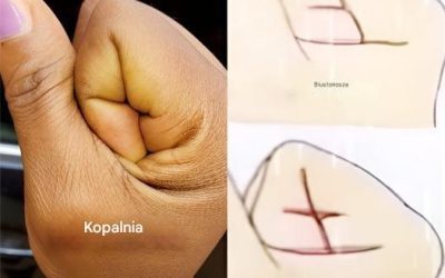 Twoja ręka może być przydatna w wzbogaceniu się lub osłabieniu.