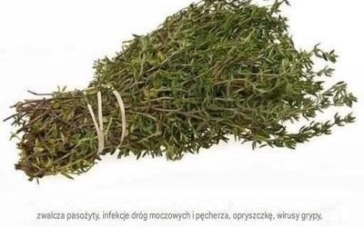 SILNIEJSZE ZIOŁA, KTÓRE NISZCZĄ PASOŻYTY, INFEKCJE DRÓG MOCZOWYCH I PĘCHERZA, OPRYSZCZKĘ I WPŁYWAJĄ NA WIRUSY