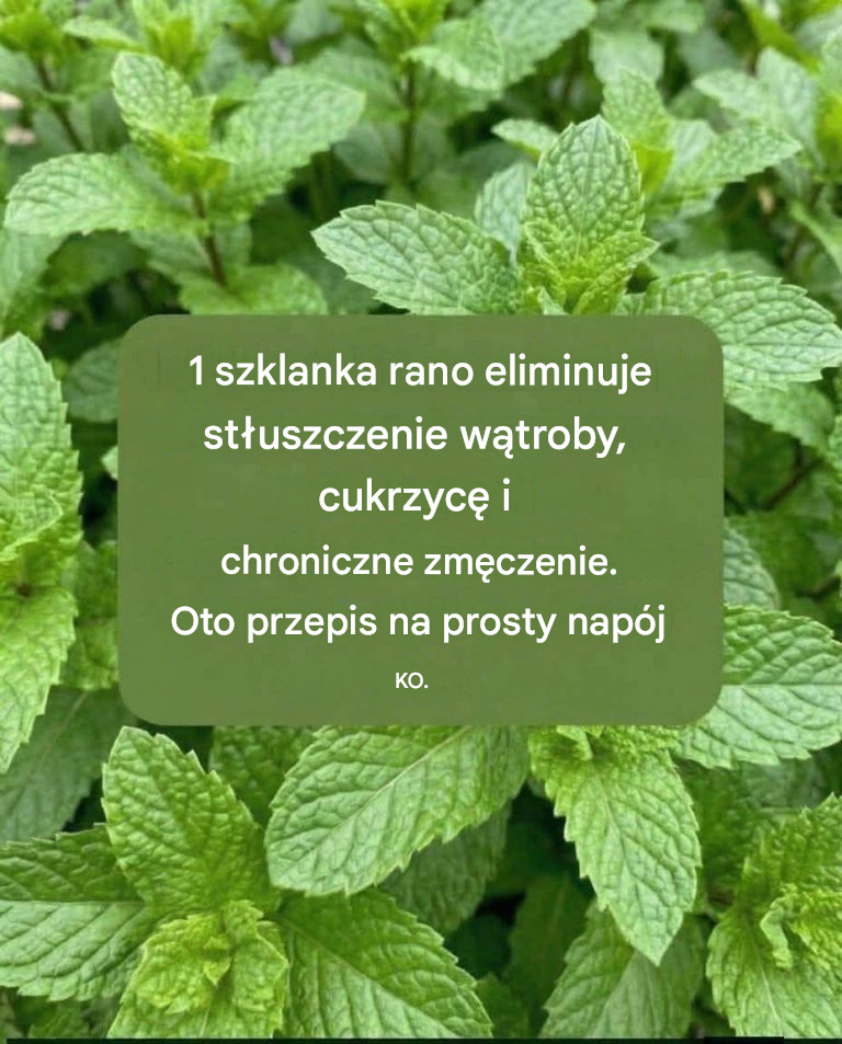Sok miętowy z cytryną: właściwości, zastosowanie lecznicze i właściwe przygotowanie