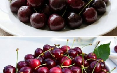 Wiśnie: Obniżają poziom cholesterolu i cukru we krwi, poprawiają pamięć i zwalczają bezsenność.
