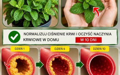 Sekret, który zna niewiele osób. Odblokuj swoje tętnice bez leków. I wzmocnij swoje serce! Aby nadal otrzymywać moje przepisy, wystarczy coś powiedzieć… Dziękuję!