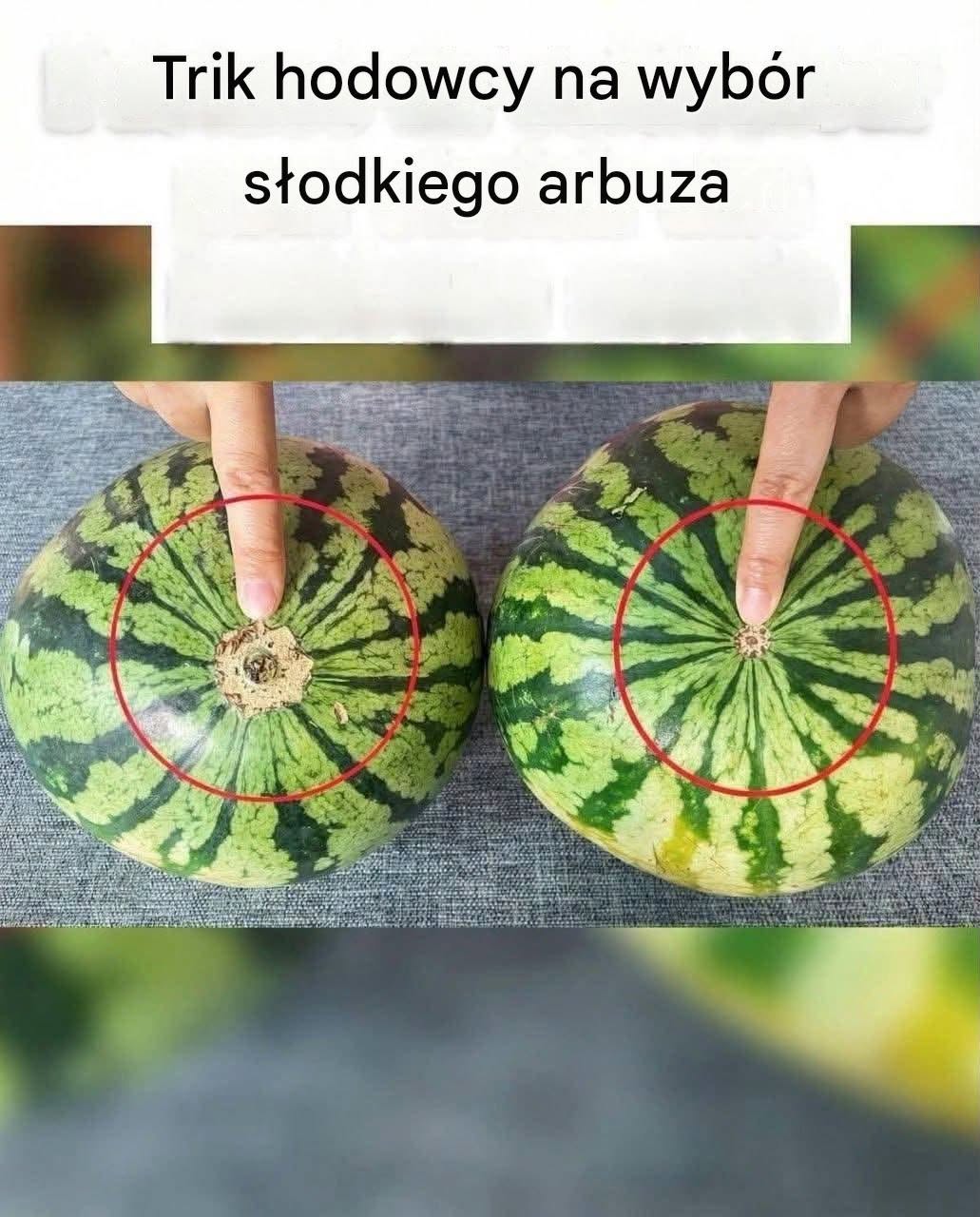 Koniec z mdłymi arbuzami! Oto niezawodny wizualny przewodnik, jak znaleźć najsłodsze owoce na targu.